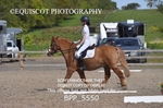 BPP_5550