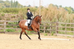 SBM_001954