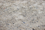 SBM_007481