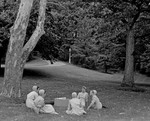 THE PICNIC