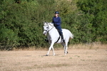 WJ6_6819