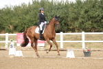 SBM_010413
