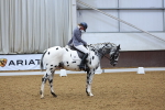 SBM_001456