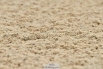 230702A-113420-08750