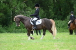 Class 14A Handsome Gelding portfolio