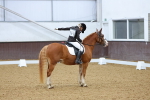 SBM_004211
