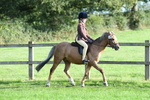 SBM_54015