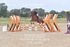 BPP_6099