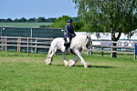 SBM_19397