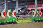 SBM_006508