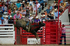 3HRodeo7-24-25_CFD_08525_