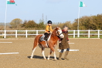 SBM_000271