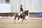 SBM_016280