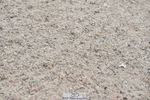 231013A-092106-00768