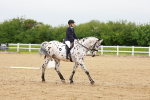 SBM_005936
