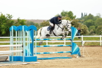 SBM_001130_Class 5 - Senior foxhunter - 120m