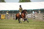 SBM_06920