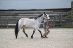 SBM_004014