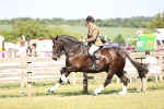 SBM_18703