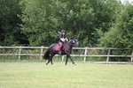 WJ6_6967