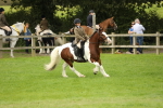 SBM_71713