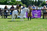 SBM_05920