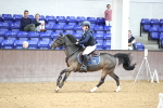SBM_001043