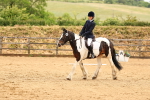 SBM_000889