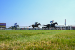 150726-Race 5-Naval Light-4238
