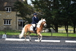 WJ5_8843