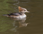 20140419-3K8A0426