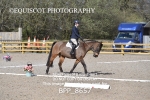 BPP_8657