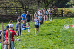 The Finish-3