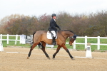 SBM_003460