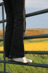 Rapeseed Fields _DO044
