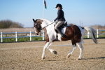 SBM_004413