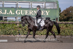 Dressage_29-09-2018-8