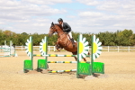 SBM_006540