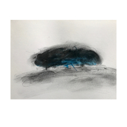 Blue Copse