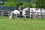 SBM_08043