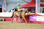 SBM_13545