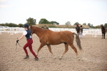 SBM_08245