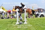 BPP_7134