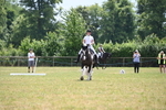 WJ6_7804