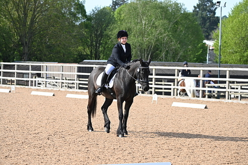 WJ6_6739