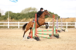 SBM_007308