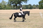 WJ6_8785