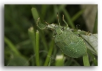 2749 bug 3