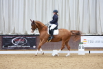 SBM_002366