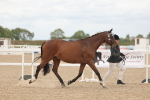 SBM_17040